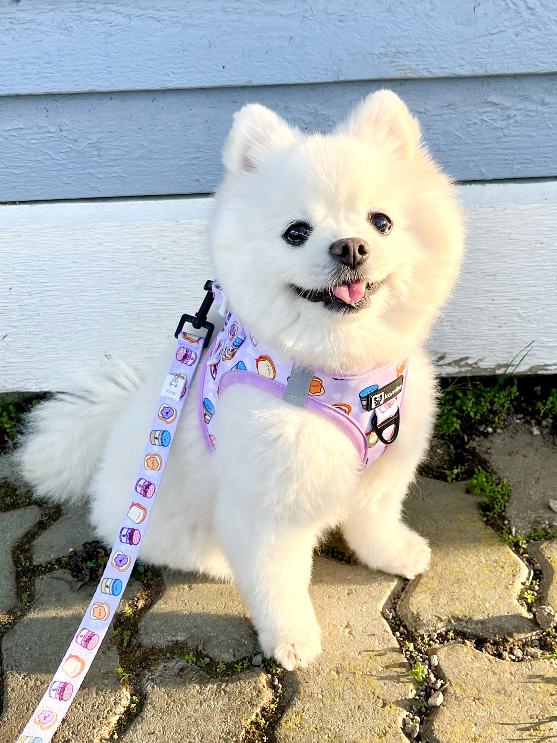 Step-In Dog Harness - Peanut Butter Jelly