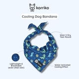 Ultimate Harness Bundle Set - Dino (Step-In)