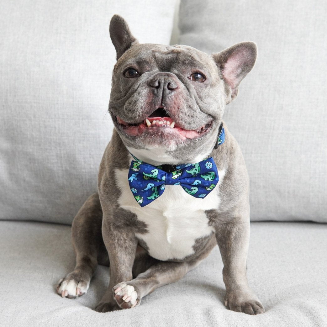 Ultimate Harness Bundle Set - Dino (Step-In)