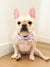 Dog Bow Tie - Gummy Bear