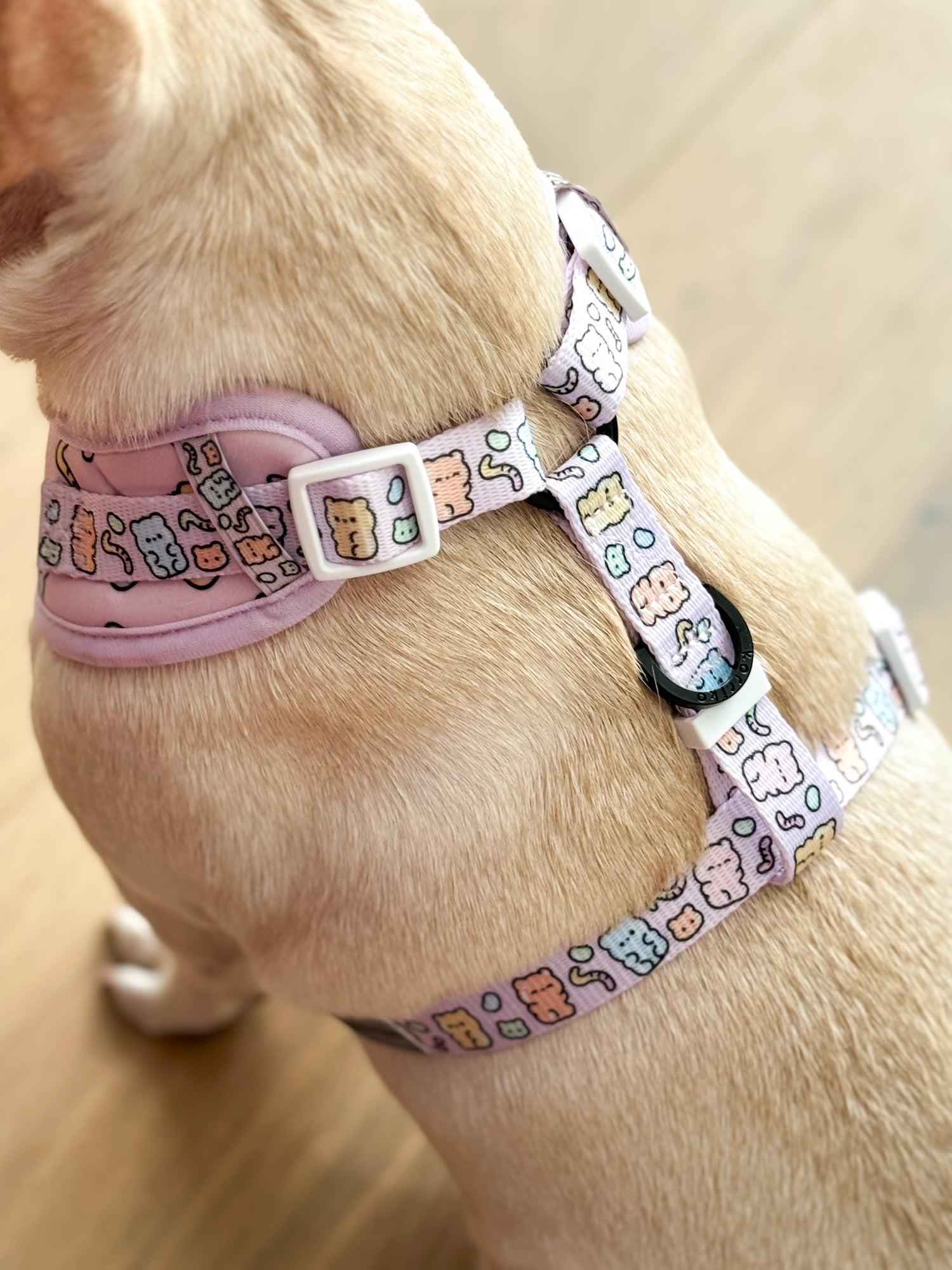 Adjustable Dog Harness Gummy Bear Korriko Pet Supply