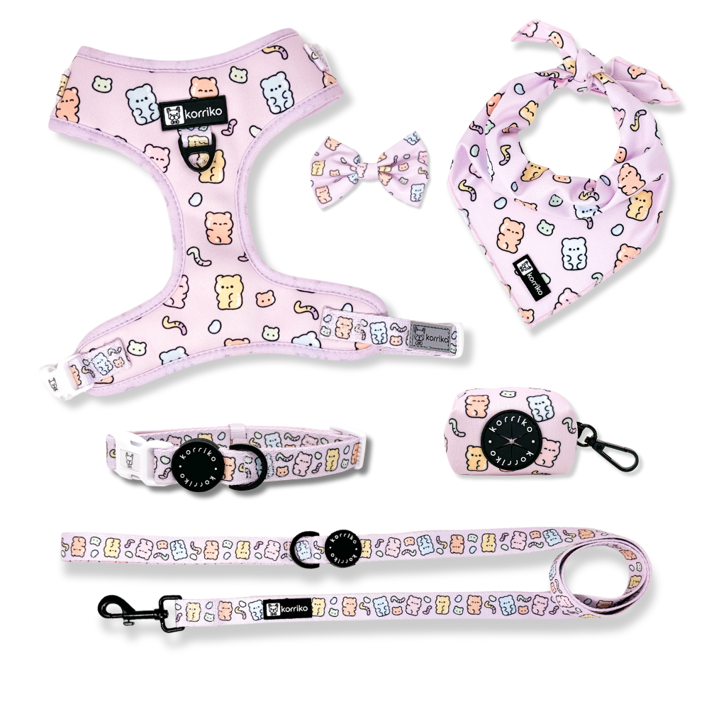 Harness Bundle Set - Gummy Bear