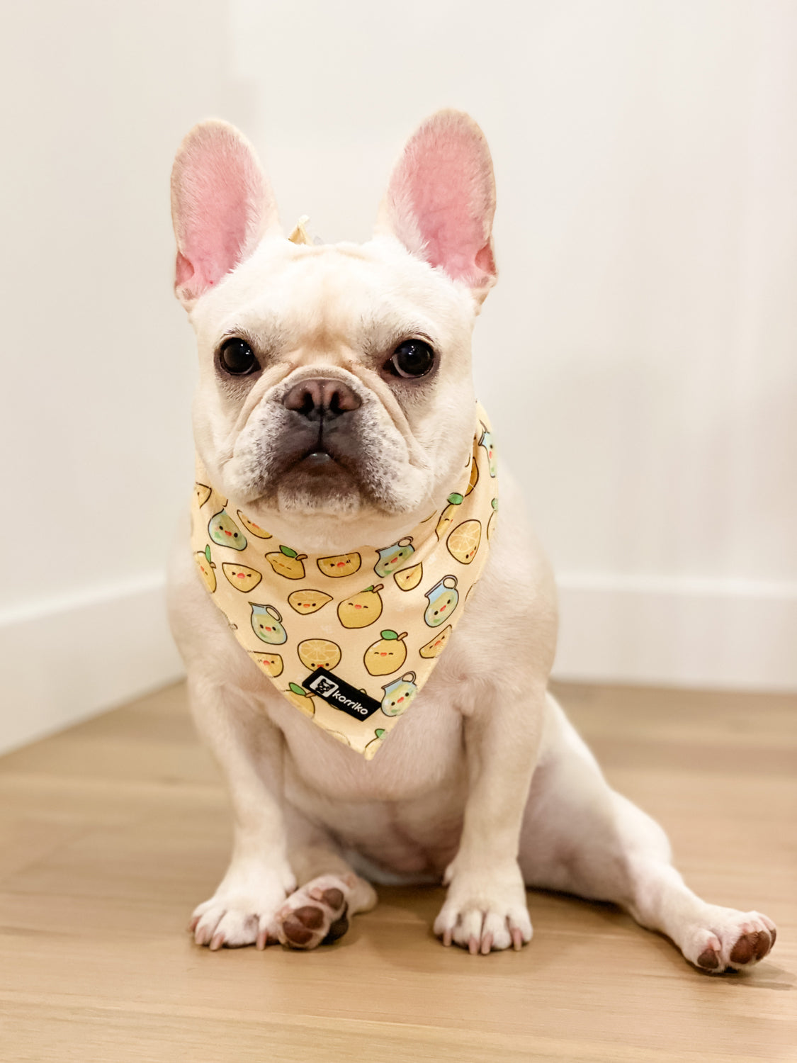 Cooling Dog Bandana - Lemonade