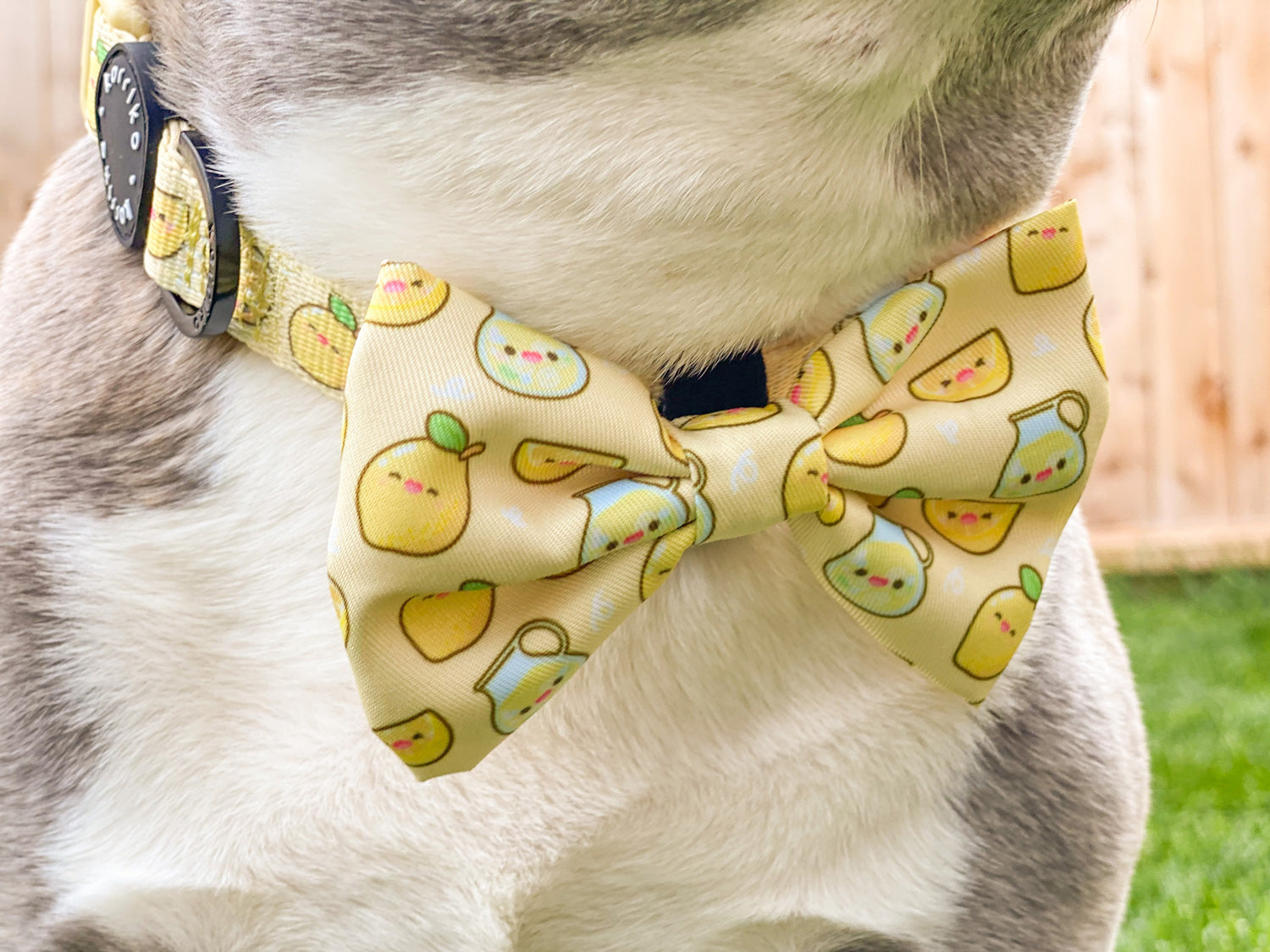 Dog Bow Tie - Lemonade