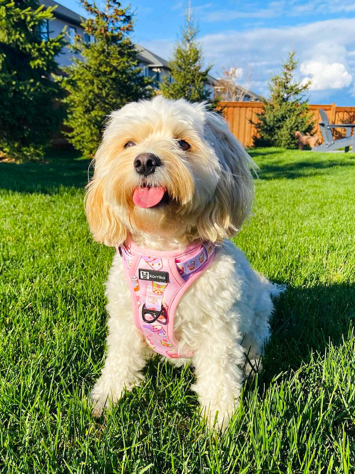 Exploration Lite No-Pull Dog Harness - Taro Milk Tea (SECONDS - FINAL SALE)