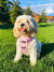 Exploration Lite No-Pull Dog Harness - Taro Milk Tea (SECONDS - FINAL SALE)