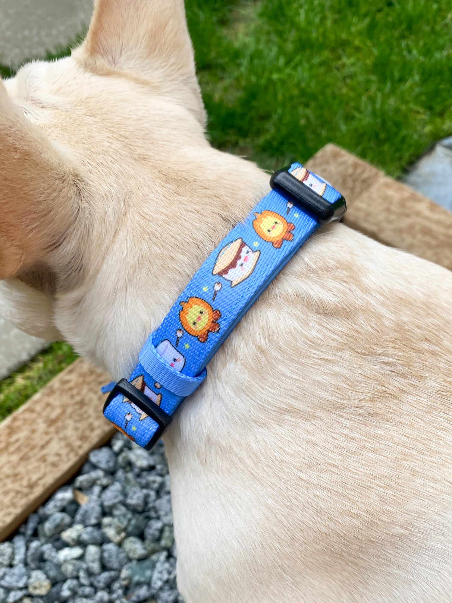 Dog Collar - S'mores (SECONDS - FINAL SALE)
