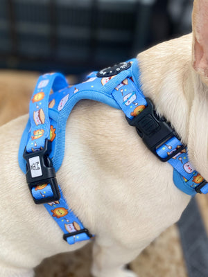 Exploration Lite No-Pull Dog Harness - S'mores
