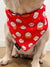 Cooling Dog Bandana - Soup Dumpling (SECONDS - FINAL SALE)