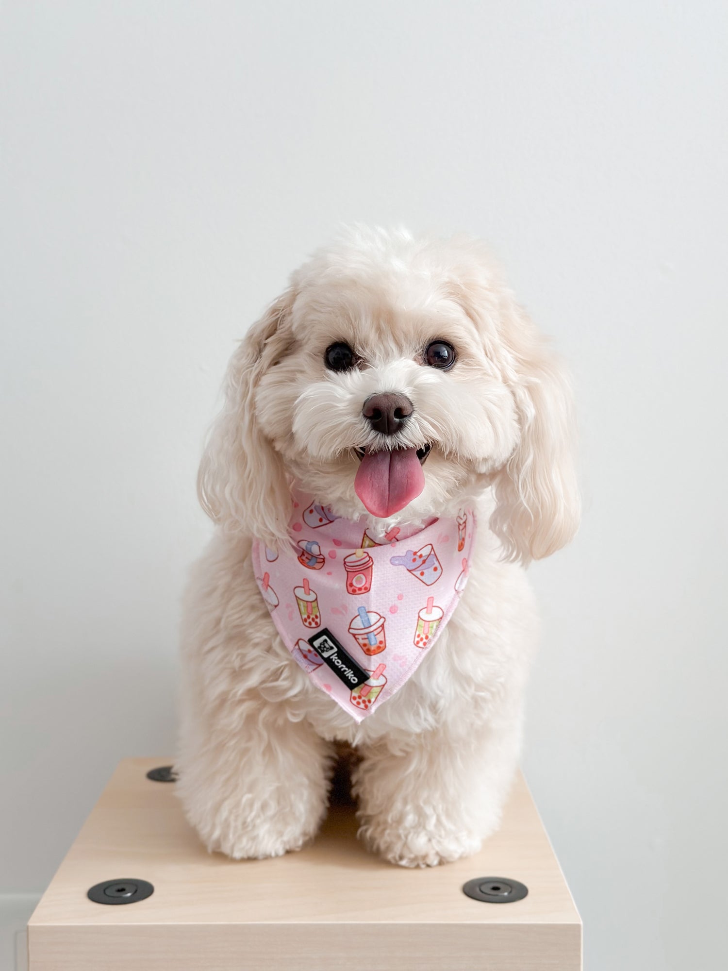 Cooling Dog Bandana - Taro Milk Tea