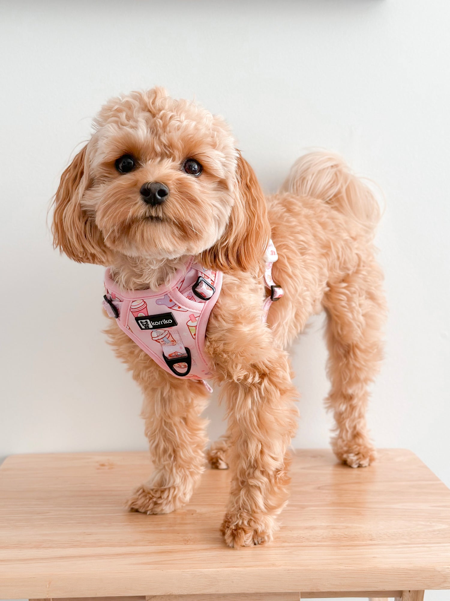 Exploration Lite No-Pull Dog Harness - Taro Milk Tea (SECONDS - FINAL SALE)