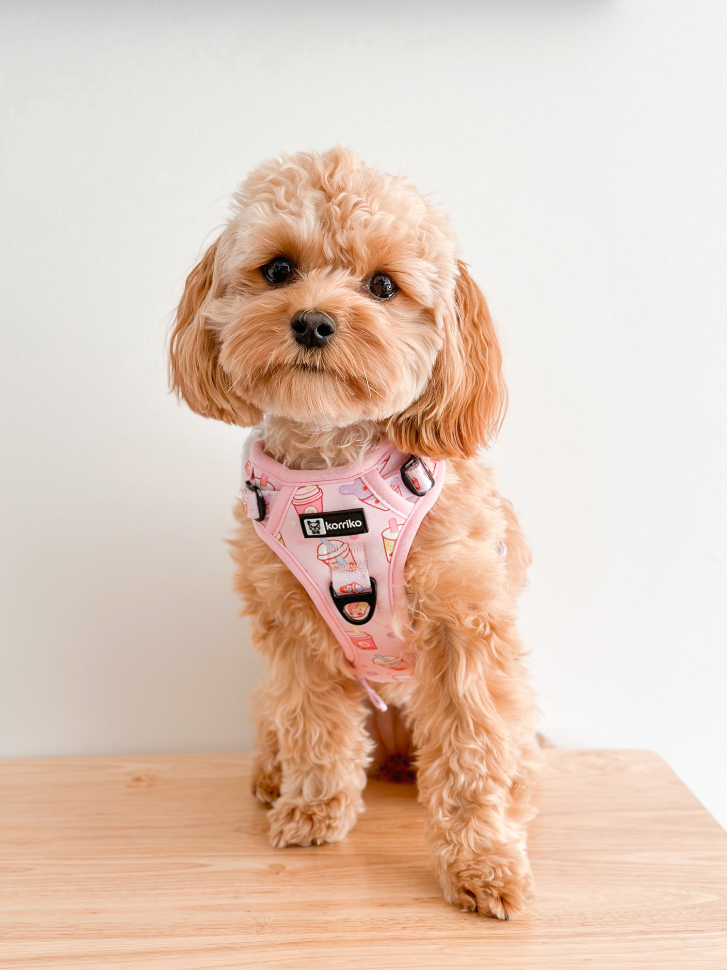 Exploration Lite No-Pull Dog Harness - Taro Milk Tea (SECONDS - FINAL SALE)
