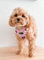Exploration Lite No-Pull Dog Harness - Taro Milk Tea (SECONDS - FINAL SALE)