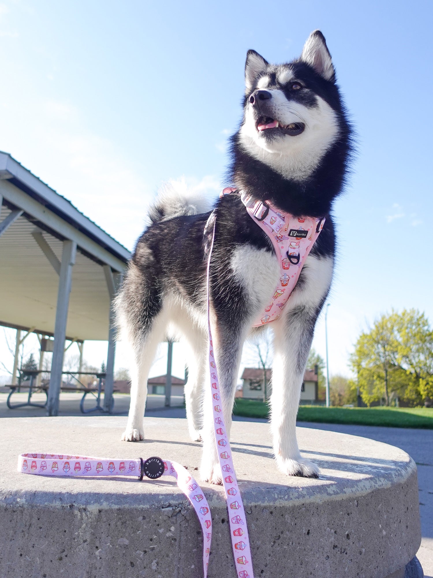 Exploration Lite No-Pull Dog Harness - Taro Milk Tea (SECONDS - FINAL SALE)
