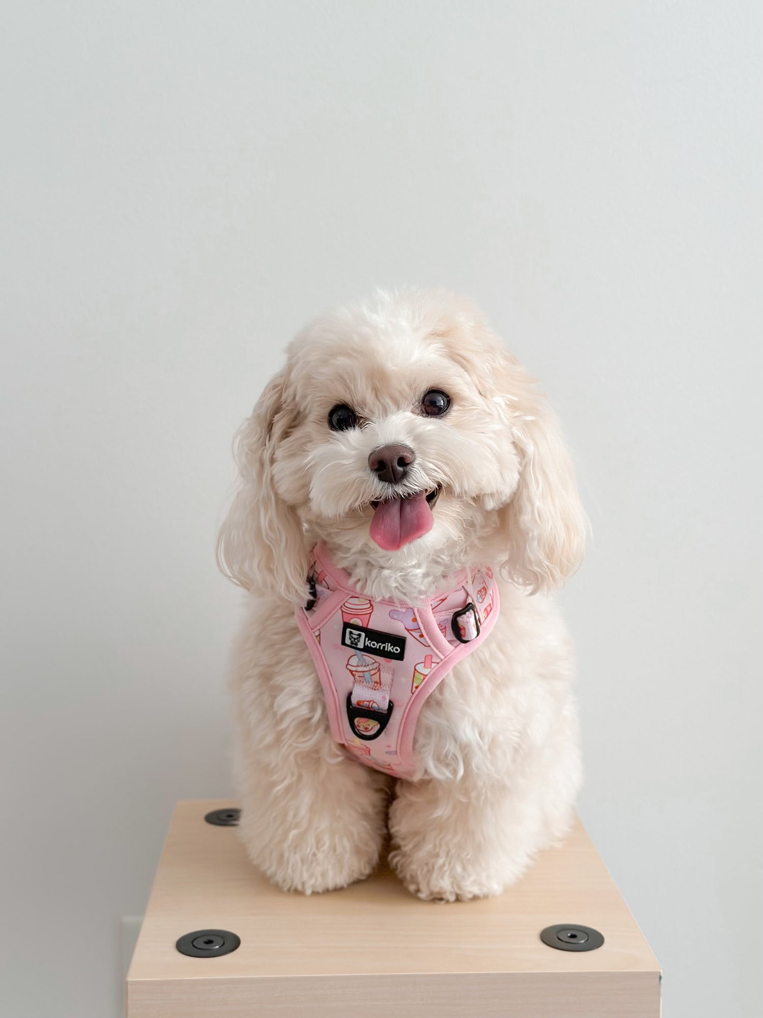 Exploration Lite No-Pull Dog Harness - Taro Milk Tea (SECONDS - FINAL SALE)