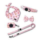 Ultimate Collar Bundle Set - Taro Milk Tea (5-Piece)