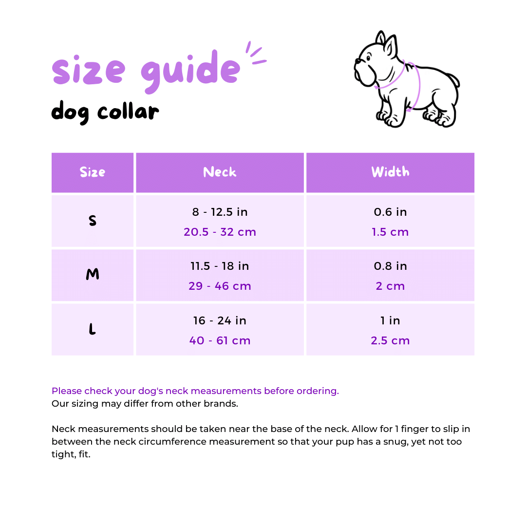 Ultimate Exploration No-Pull Harness Bundle Set - Sushi (5-Piece)