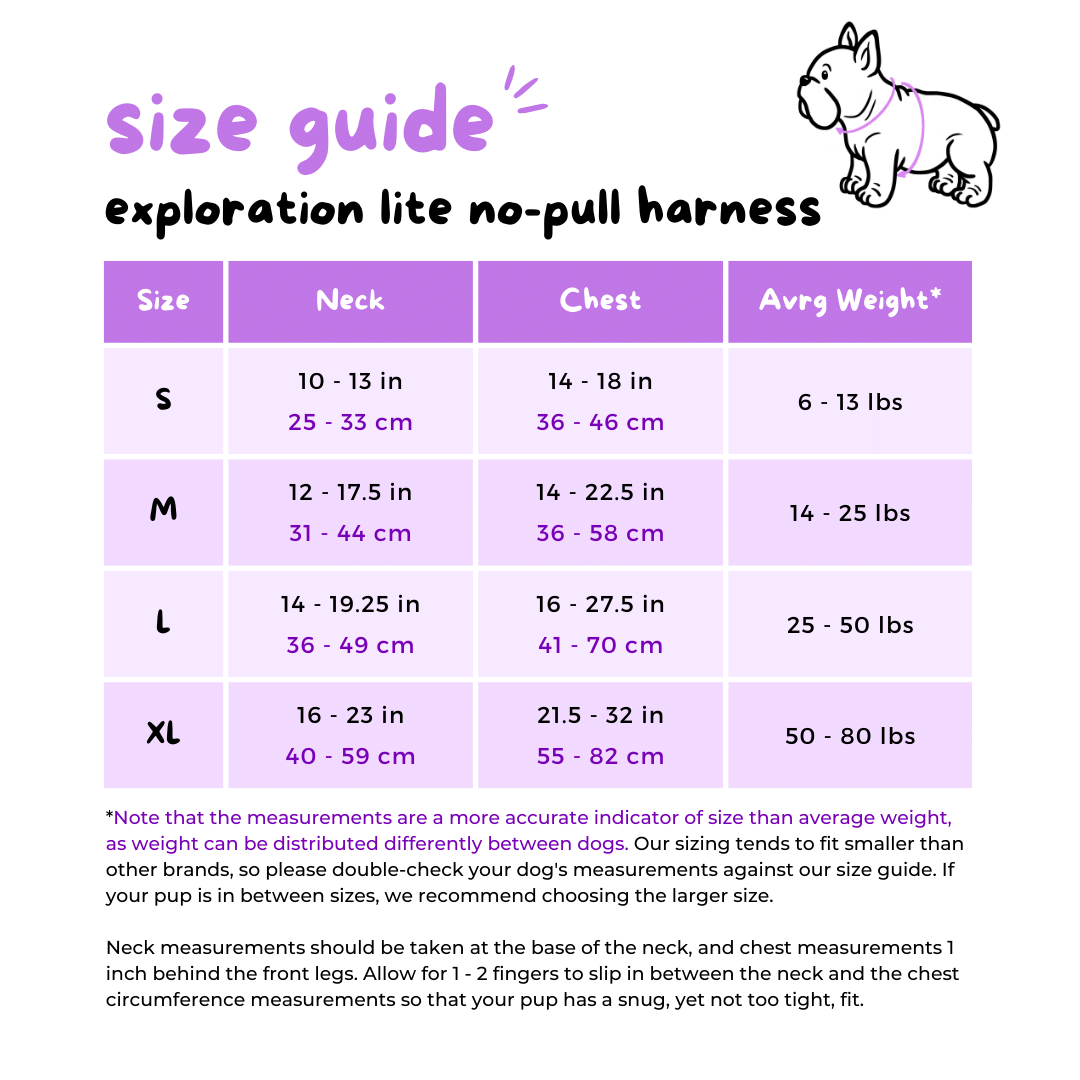 Exploration Lite No-Pull Dog Harness - Soup Dumpling