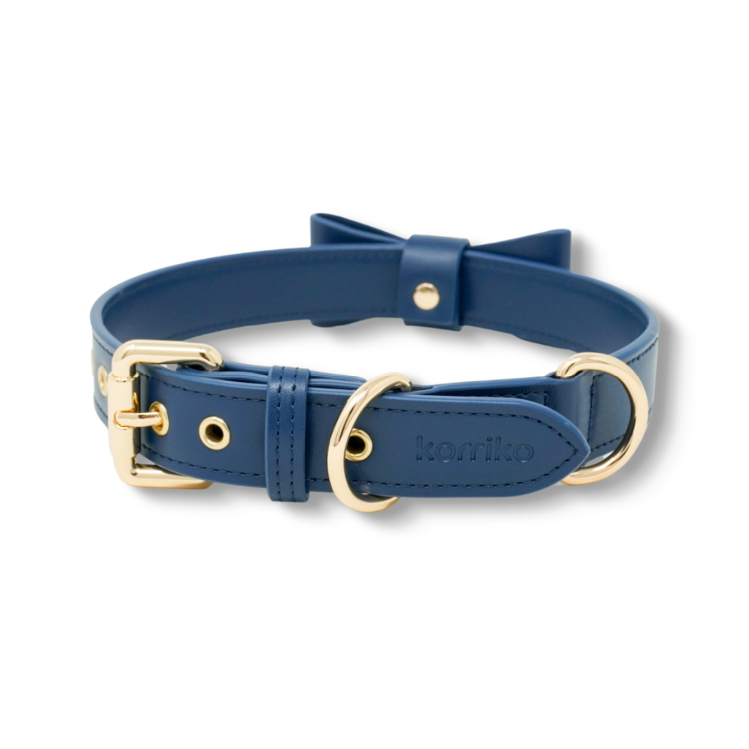 Navy blue dog collar online and leash