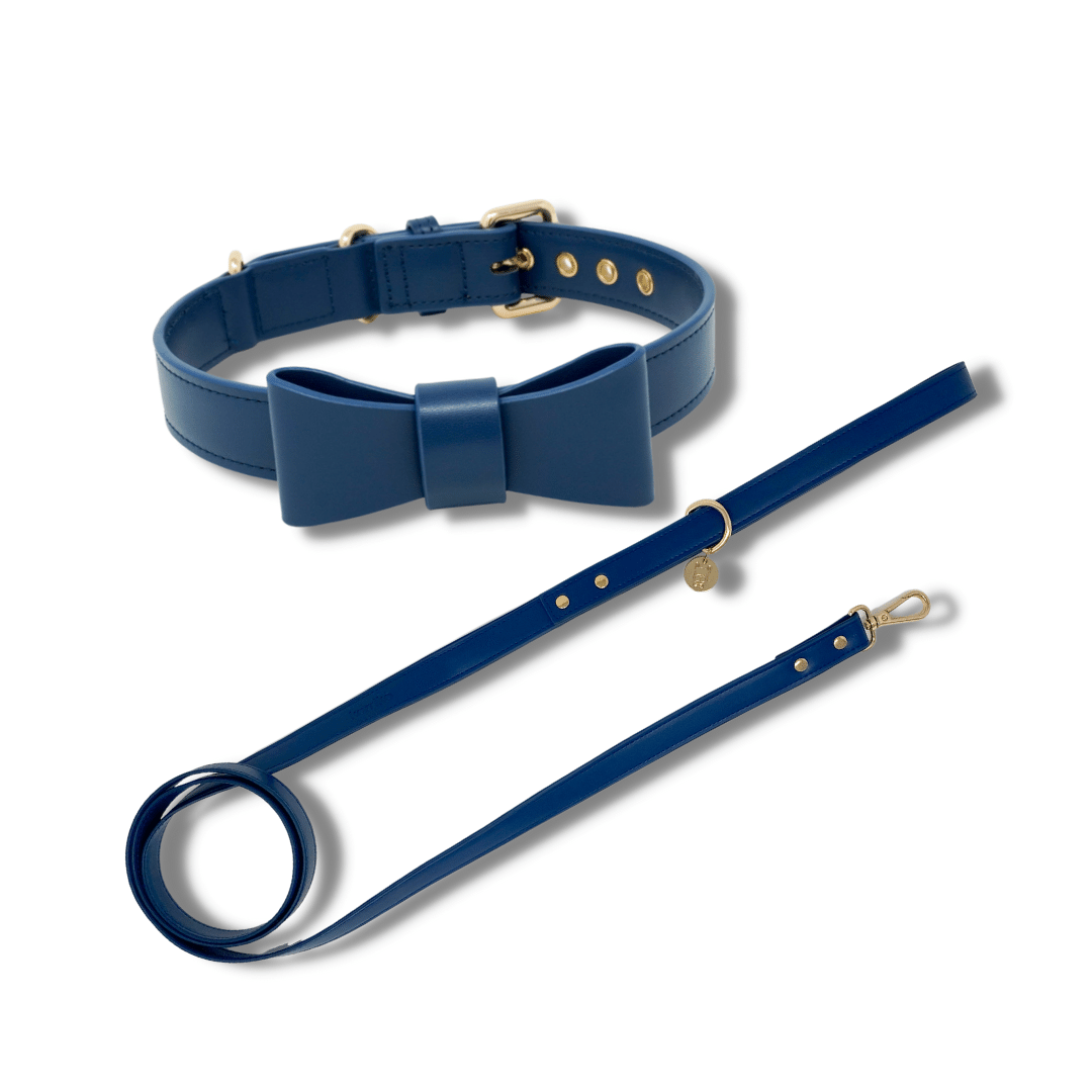 Signature Collar & Leash Set - Navy (*PROMO*)