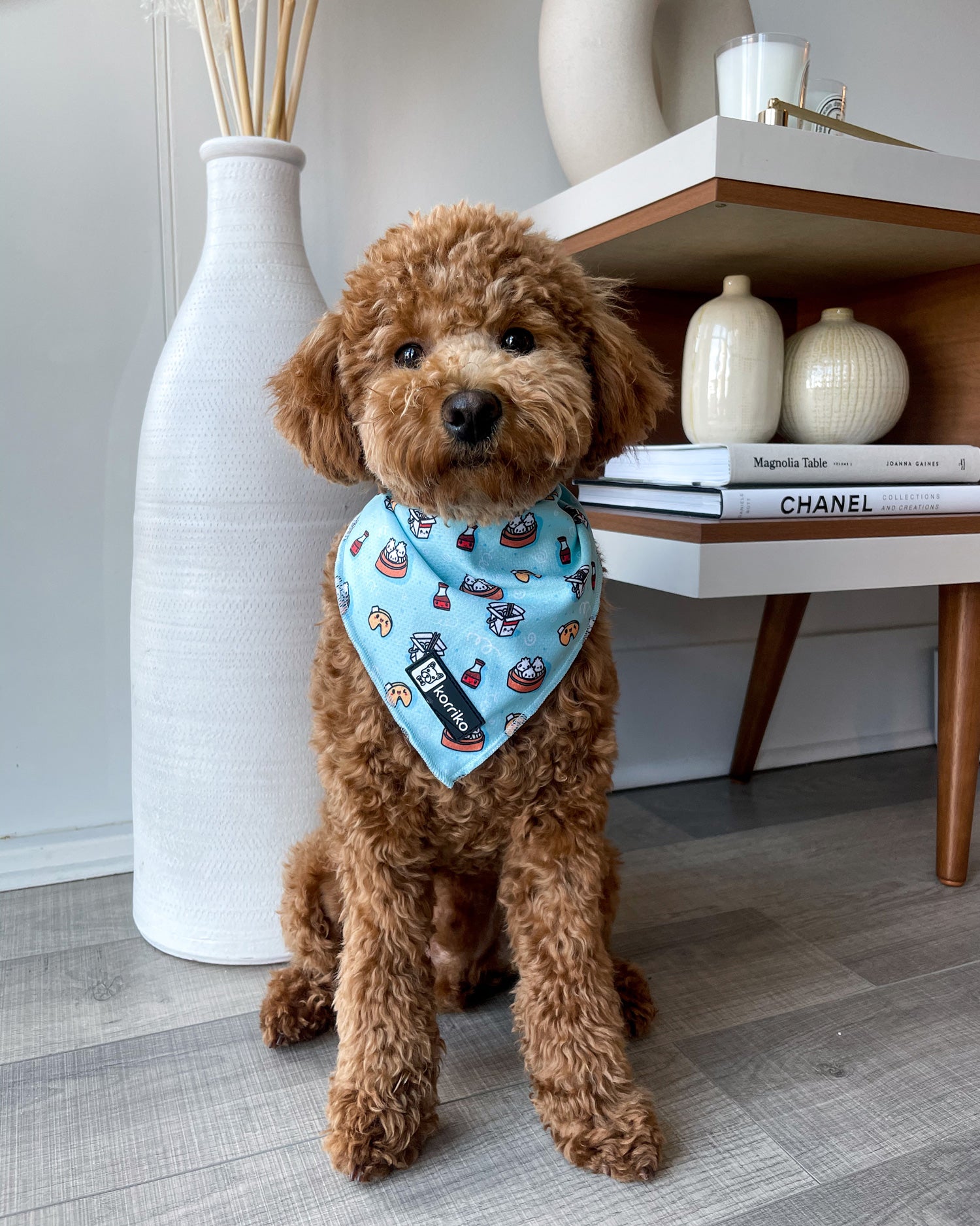 Ice bandana for dogs online
