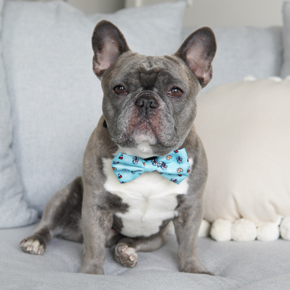 Dog Bow Tie - Adorabao (SECONDS - FNAL SALE)