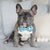 Dog Bow Tie - Adorabao (SECONDS - FNAL SALE)