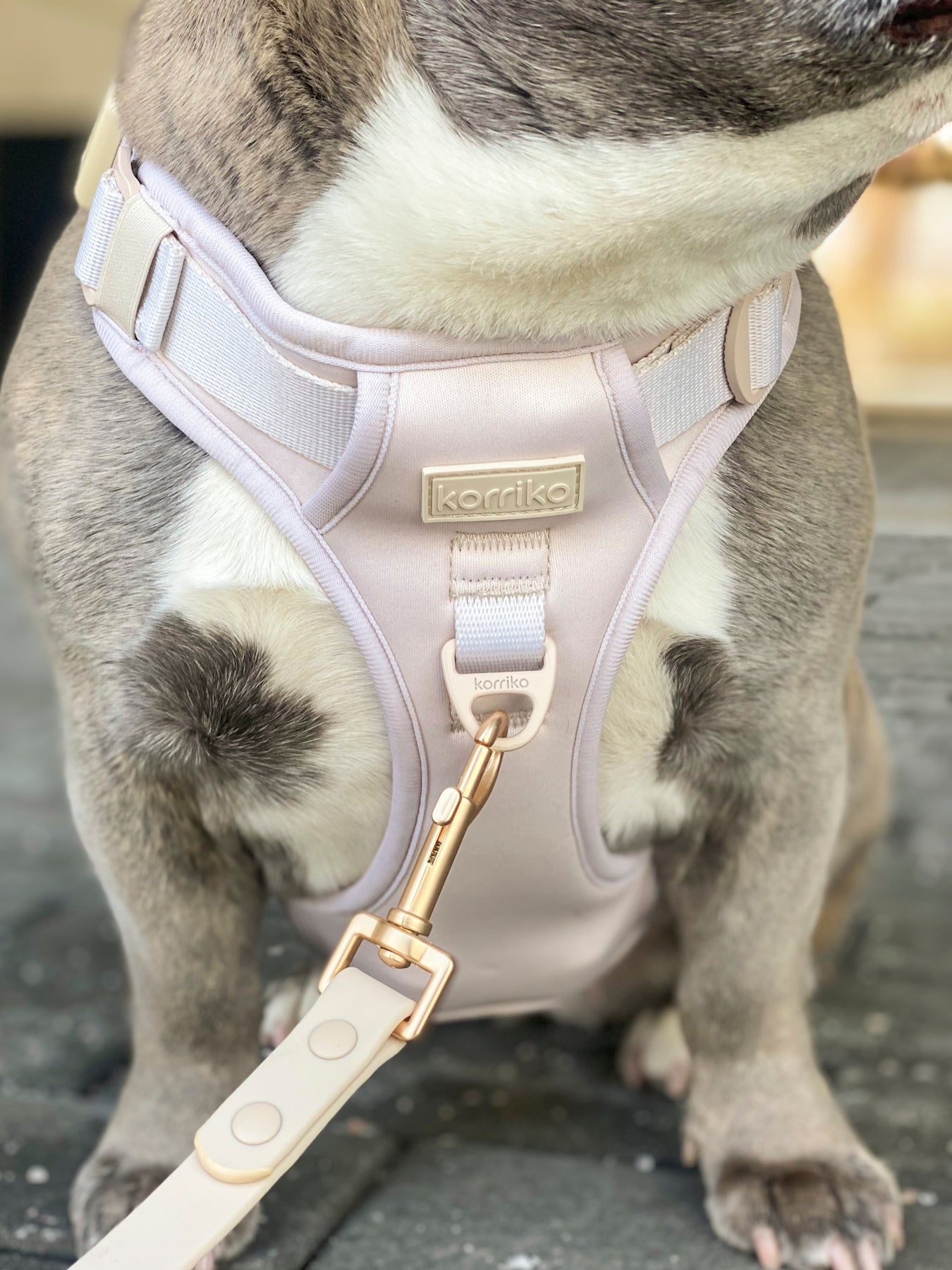 Exploration Lite No-Pull Dog Harness - Almond Nude (Final Sale)