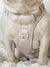 Exploration Lite No-Pull Dog Harness - Almond Nude