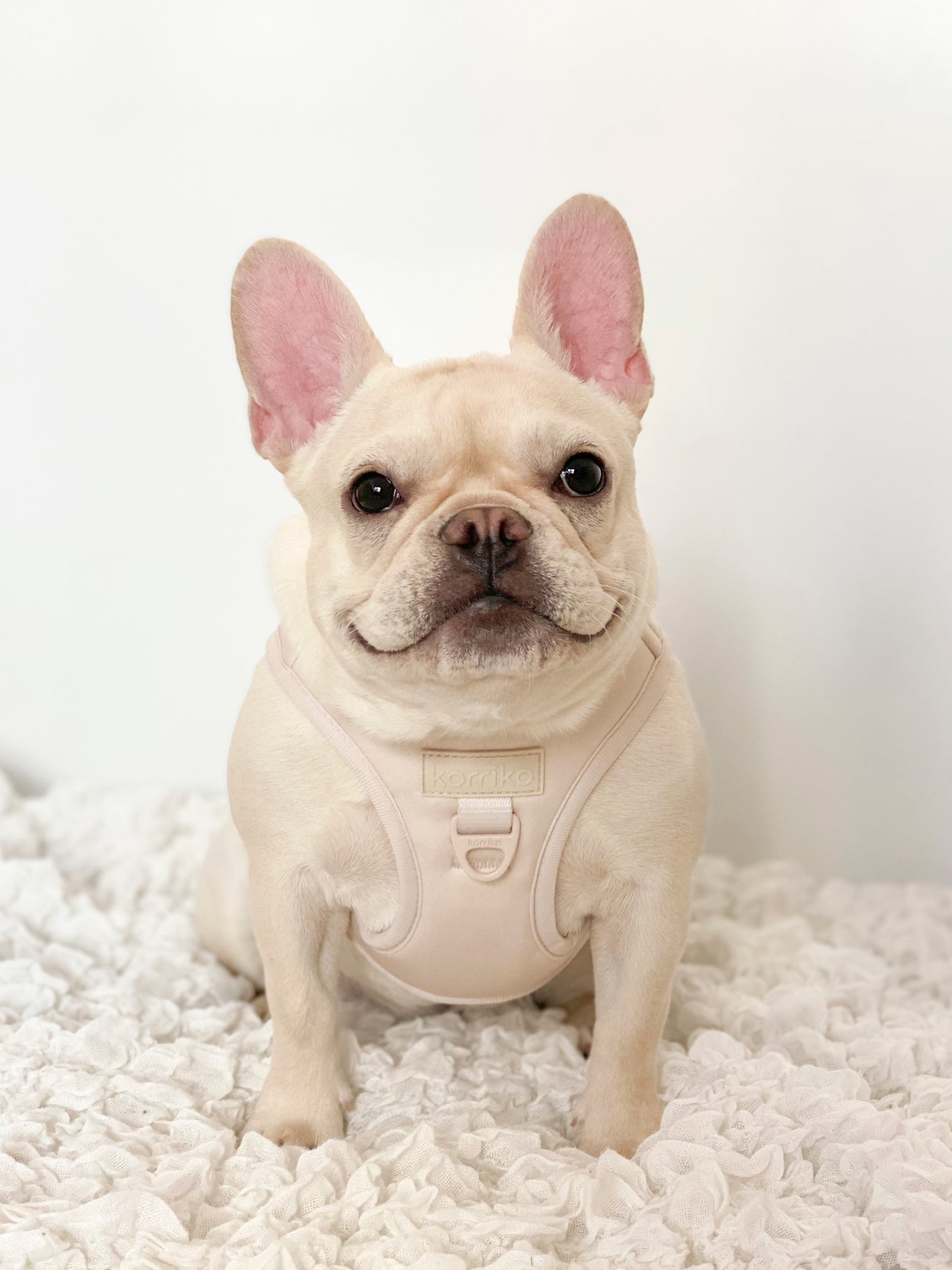 Step-In Dog Harness - Almond Nude (SECONDS - FINAL SALE)