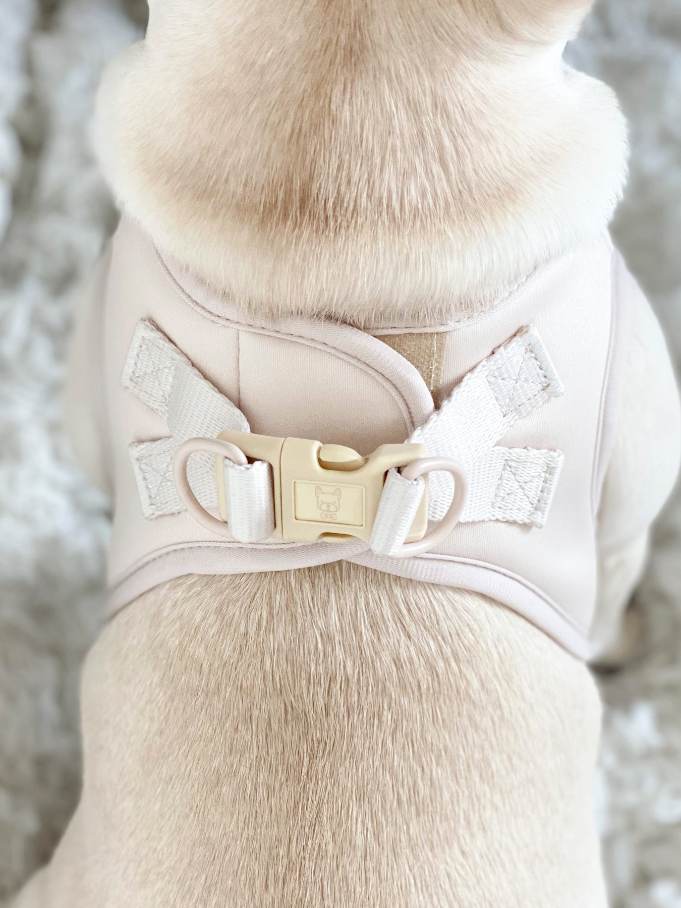 Step-In Dog Harness - Almond Nude (SECONDS - FINAL SALE)
