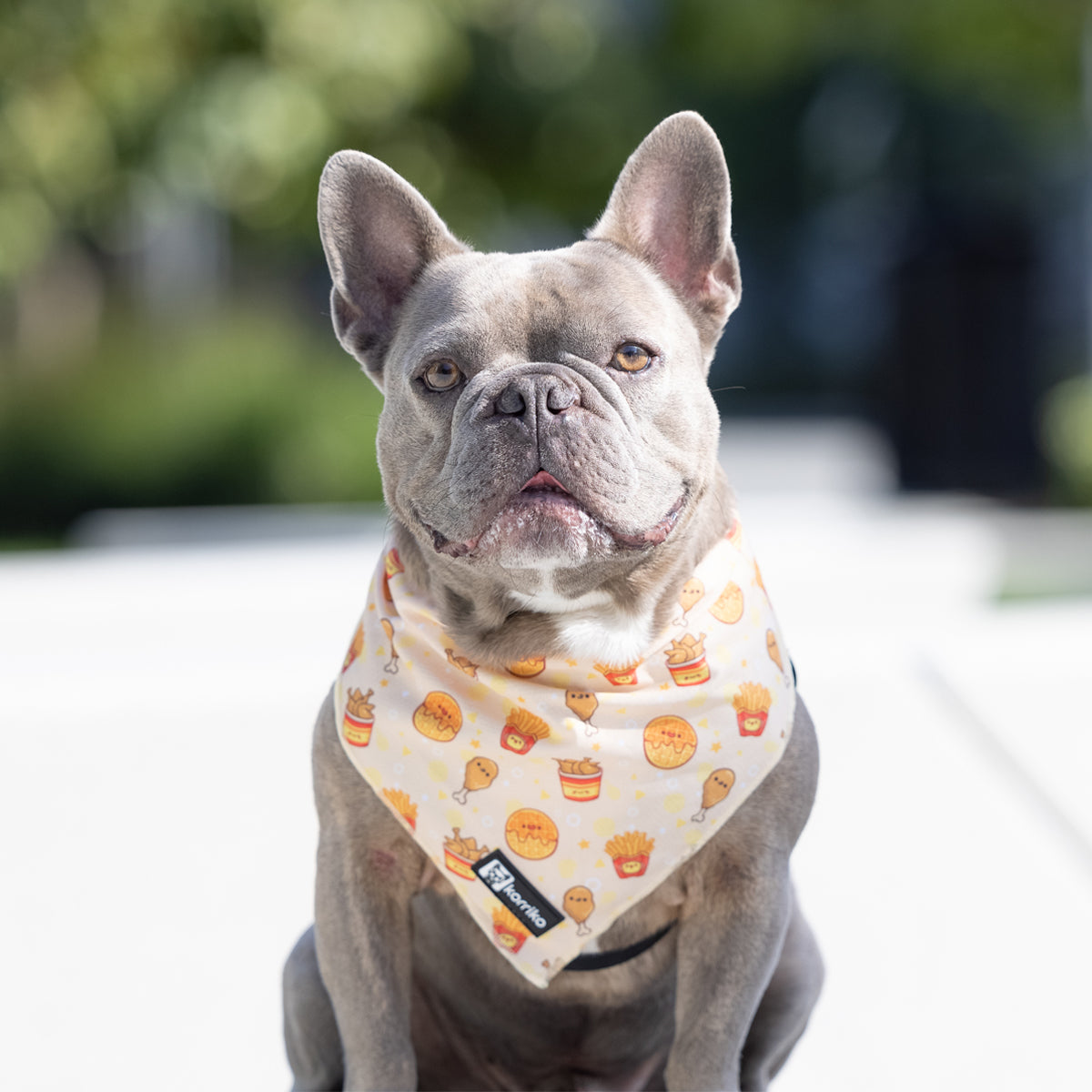 Cooling Dog Bandana - Chicken & Waffles (Final Sale)