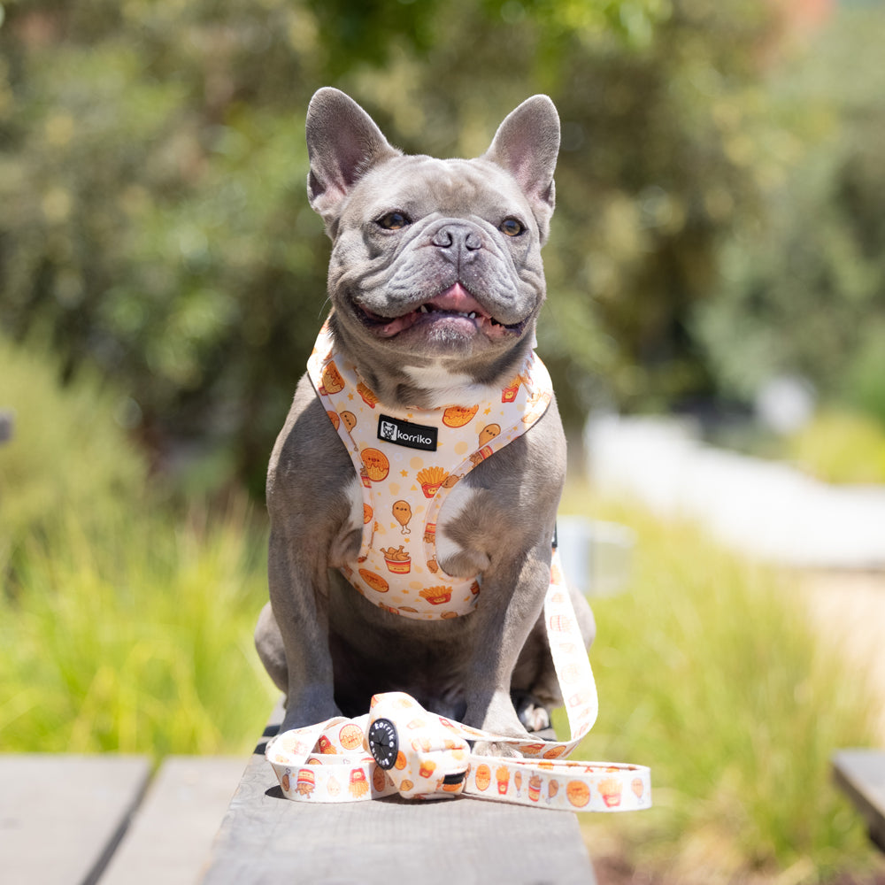 Adjustable Dog Harness - Chicken & Waffles (SECONDS - FINAL SALE)