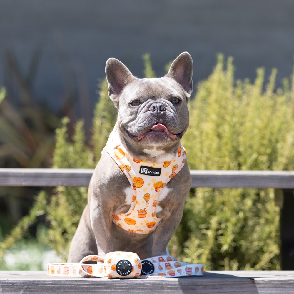 Adjustable Dog Harness - Chicken & Waffles (SECONDS - FINAL SALE)