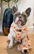 Adjustable Dog Harness - Chicken & Waffles (SECONDS - FINAL SALE)