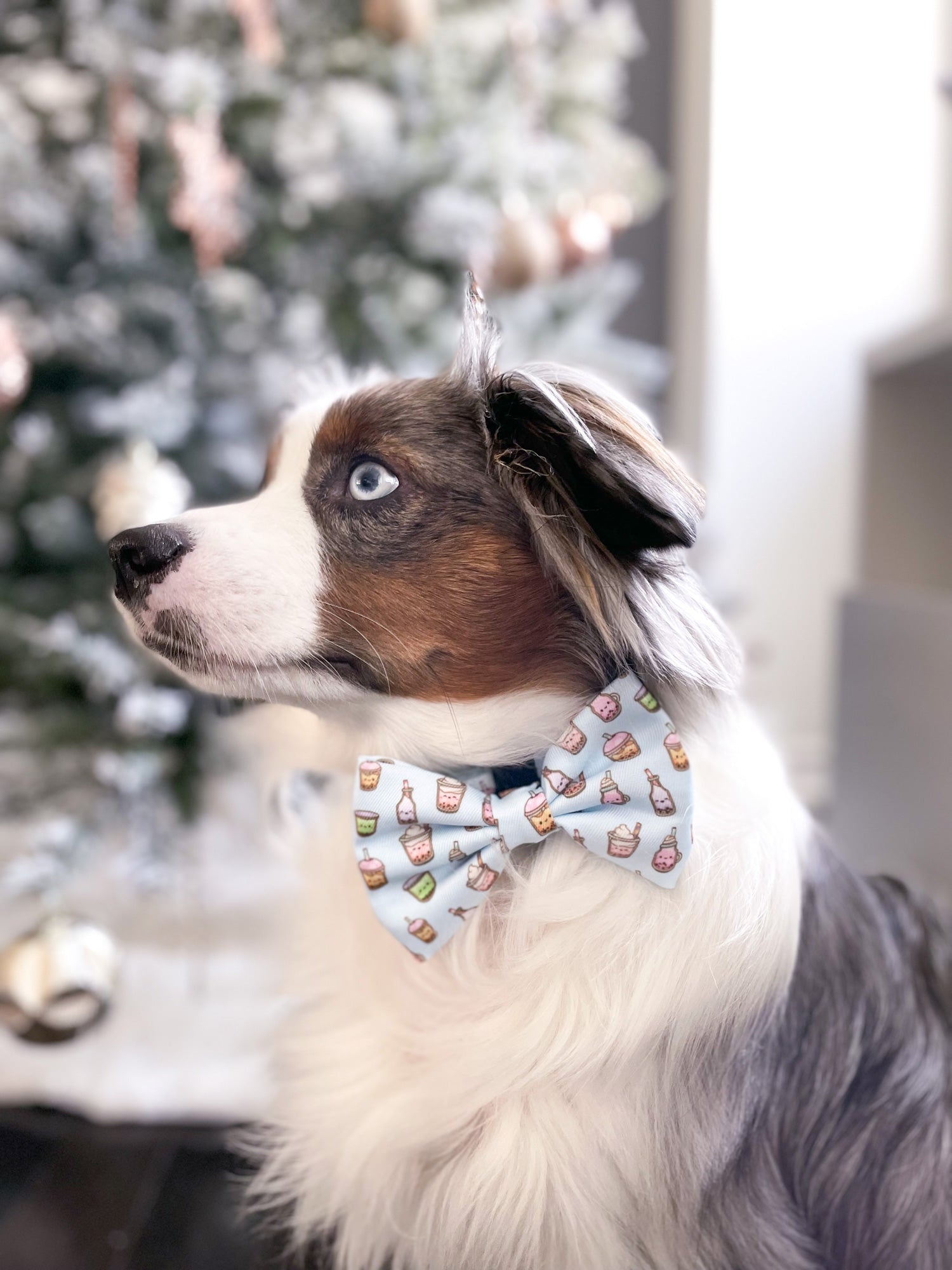 Doggy bow ties online