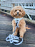 Step-In Dog Harness - Boba