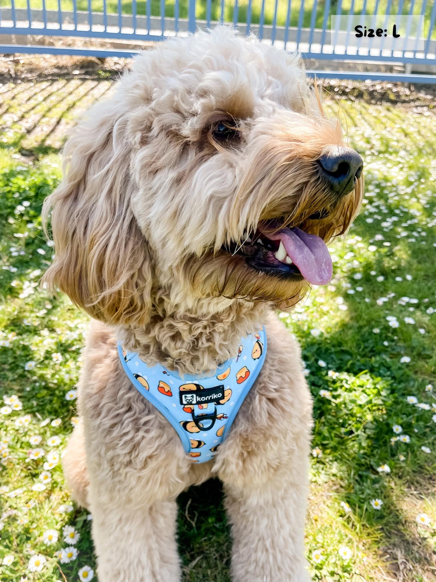 Adjustable Dog Harness - Honeybee (SECONDS - FINAL SALE)
