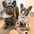 Adjustable Dog Harness - Chicken & Waffles (SECONDS - FINAL SALE)