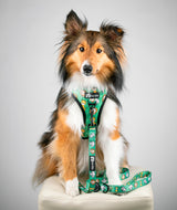 Dog Leash - Safari (Final Sale)