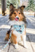 Cooling Dog Bandana - Pupflix (Final Sale)