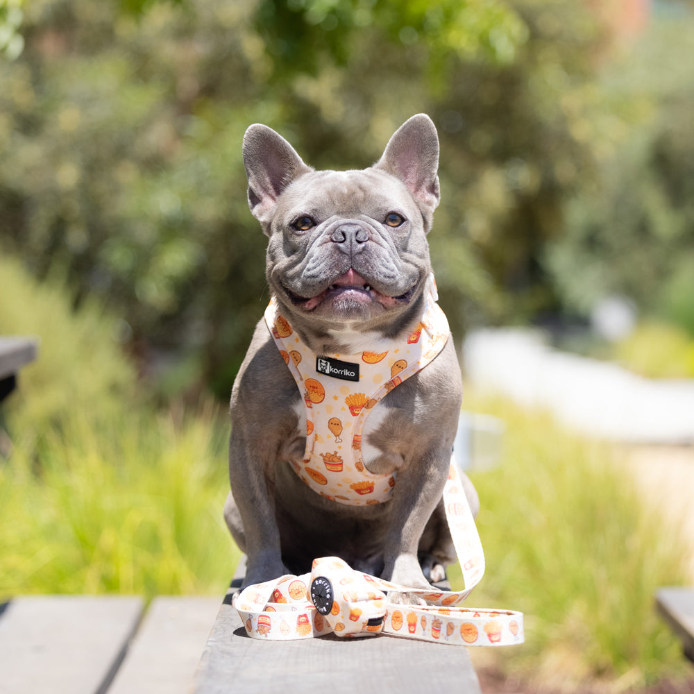 Adjustable Dog Harness - Chicken & Waffles (SECONDS - FINAL SALE)