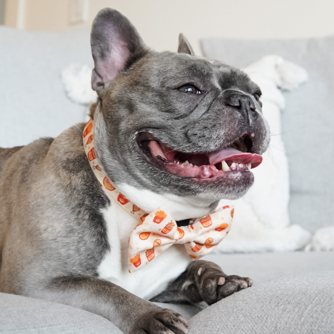 Bulldog dog collar hotsell