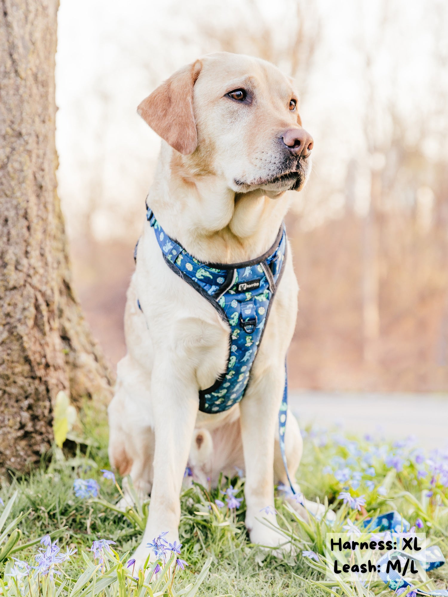 Exploration Lite No-Pull Dog Harness - Dino