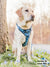 Exploration No-Pull Dog Harness - Dino