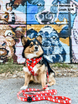Dog Leash - Moo Moo (Final Sale)