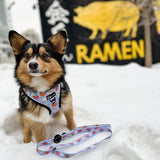 Dog Leash - Ramen (Final Sale)