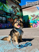 Dog Leash - HoneyBee (Final Sale)