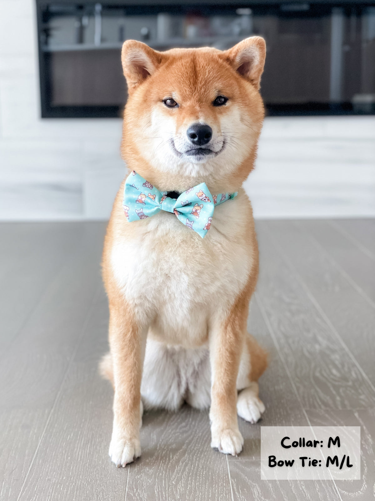 Dog Bow Tie Dream Team Korriko Pet Supply