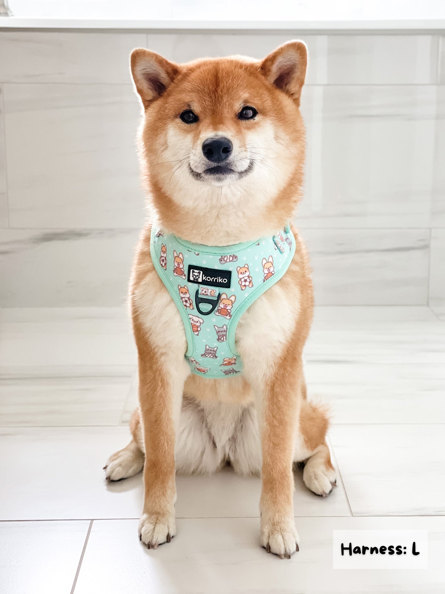 Adjustable Dog Harness - Dream Team